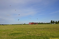 Venice kite festival_0635